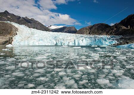 View of the glacier face of the LeConte Glacier, a tidal glacier in LeConte Bay, Tongass National Forest, Southeast Alaska, USA. View Large Photo Image Stock Image - View of the glacier face of the LeConte Glacier, a tidal glacier in LeConte Bay, Tongass National Forest, Southeast Alaska, USA.. Fotosearch