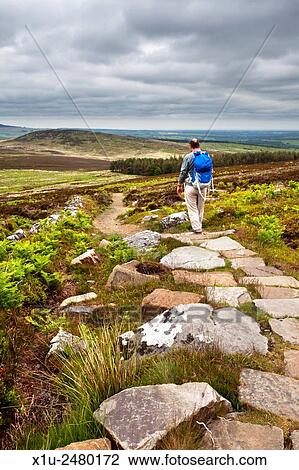 Stock Image - Walker Descending The Beacon in the Simonside Hills looking toward Garleigh Moor near Rothbury Northumberland England.. Fotosearch