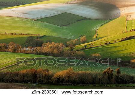 Stock Image - Winter afternoon in the South Downs National Park near Brighton, East Sussex, England.. Fotosearch