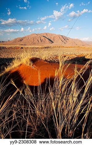 Stock Photo - Wolwedans Landscape - NamibRand Nature Reserve - Hardap Region, Namibia, Africa.. Fotosearch