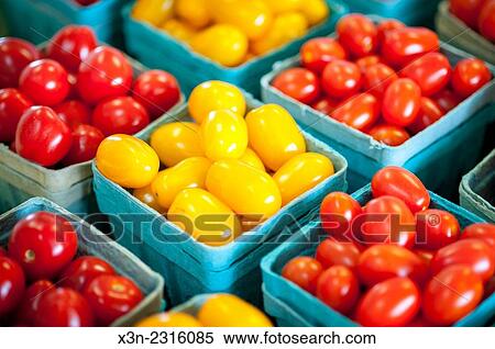 Yellow and red cherry tomatoes in containers in Denton, Maryland, USA. View Large Photo Image Stock Photography - Yellow and red cherry tomatoes in containers in Denton, Maryland, USA.. Fotosearch