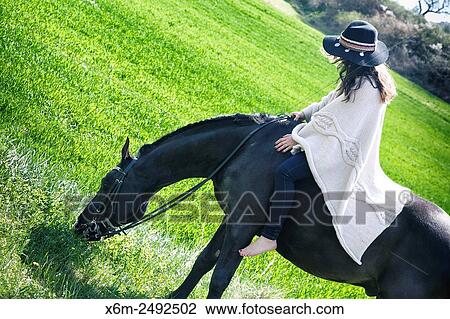 Young girl and horse. Ayegui, Navarre, Spain. View Large Photo Image Stock Image - Young girl and horse. Ayegui, Navarre, Spain.. Fotosearch