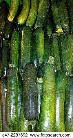 Zucchini View Large Photo Image Stock Image - Zucchini. Fotosearch