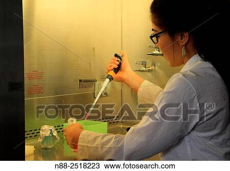 Stock Image - A young scientist at laboratory working at cabin during experiments course. Fotosearch