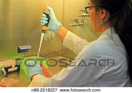 Stock Photo - A young scientist at laboratory working at cabin during experiments course. Fotosearch