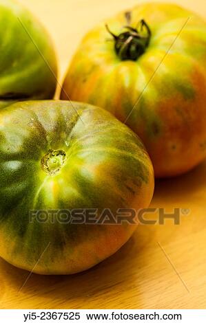 Close up of tomatoes View Large Photo Image Stock Photography - Close up of tomatoes. Fotosearch