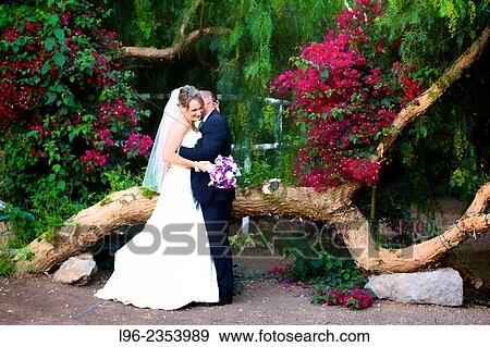 Happy married couple embrace in a garden after their wedding View Large Photo Image Stock Photo - Happy married couple embrace in a garden after their wedding. Fotosearch