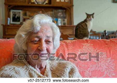 Happy old woman at home with her cat. View Large Photo Image Stock Image - Happy old woman at home with her cat.. Fotosearch