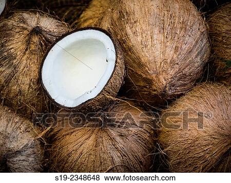 Stock Photo - Myanmar, View of coconuts. Fotosearch