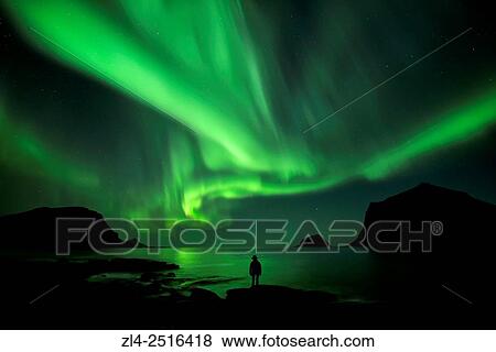Norway, Nordland, Lofoten islands, Vestvagoy island, Vik beach, silhouette of a woman and northern lights (aurora borealis), Model Released. View Large Photo Image Stock Photo - Norway, Nordland, Lofoten islands, Vestvagoy island, Vik beach, silhouette of a woman and northern lights (aurora borealis), Model Released.. Fotosearch