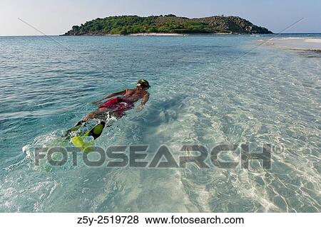 Stock Photo - Snorkeling in Sandy Spit, BVI (British Virgin Islands), Caribbean.. Fotosearch