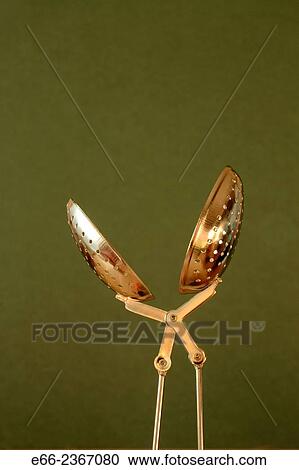 Spoon for steeping loose tea, open against a dark green background. View Large Photo Image Stock Image - Spoon for steeping loose tea, open against a dark green background.. Fotosearch