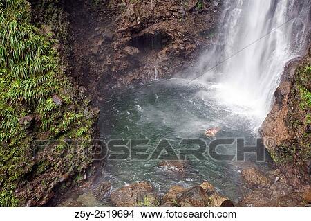 Picture - Swimming at the base of Middleham Falls, Dominica, Eastern Caribbean, West Indies. The falls are 100 feet.. Fotosearch