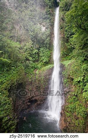 Stock Photograph - Swimming at the base of Middleham Falls, Dominica, Eastern Caribbean, West Indies. The falls are 100 feet.. Fotosearch