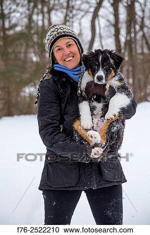 woman holding australian shepherd puppy in snowy environment, winchester, ma, MR# 6301 and PR# 3025. View Large Photo Image Stock Image - woman holding australian shepherd puppy in snowy environment, winchester, ma, MR# 6301 and PR# 3025.. Fotosearch