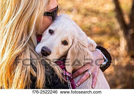 woman holding golden retriever puppy, MR# 6531. View Large Photo Image Stock Photograph - woman holding golden retriever puppy, MR# 6531.. Fotosearch
