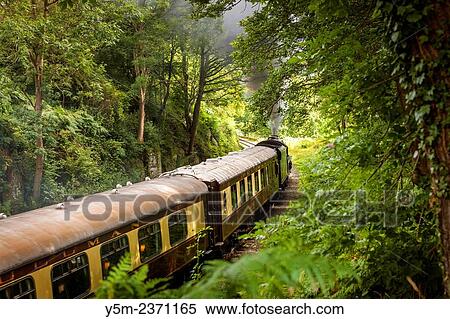 Stock Photography - A steam locomotive 44806 (Magpie/Kenneth Aldcroft) on the North Yorkshire Moors Railway travelling through Beck Hole a small valley village, North Yorkshire, England, United Kingdom, Europe.. Fotosearch