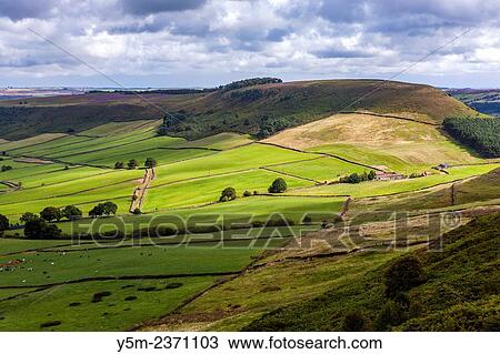A view over Great Fryup Dale near Danby, North York Moors National Park, North Yorkshire, England, United Kingdom, Europe. View Large Photo Image Stock Image - A view over Great Fryup Dale near Danby, North York Moors National Park, North Yorkshire, England, United Kingdom, Europe.. Fotosearch