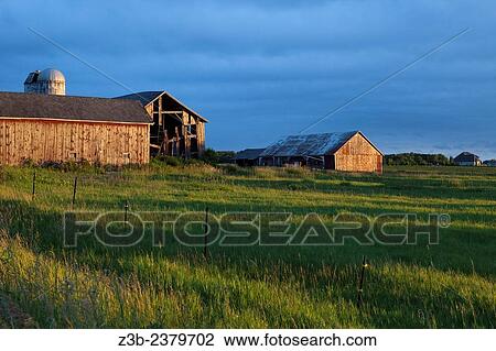 A weathered barn in sunset light in the countryside of Mount Pleasant, Michigan, USA. View Large Photo Image Stock Image - A weathered barn in sunset light in the countryside of Mount Pleasant, Michigan, USA.. Fotosearch