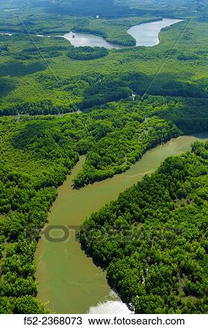 Aerial view of Delta Sierpe River Terraba, Corcovado National Park, Osa Peninsula, Puntarenas Province, Costa Rica, Central America, America. View Large Photo Image Stock Image - Aerial view of Delta Sierpe River Terraba, Corcovado National Park, Osa Peninsula, Puntarenas Province, Costa Rica, Central America, America.. Fotosearch