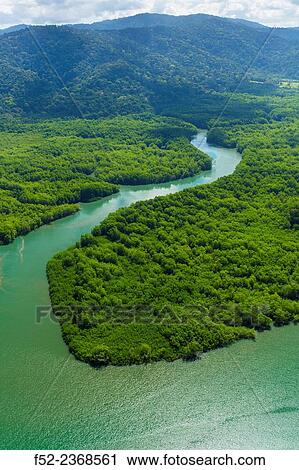 Stock Image - Aerial view of Delta Sierpe River Terraba, Corcovado National Park, Osa Peninsula, Puntarenas Province, Costa Rica, Central America, America.. Fotosearch