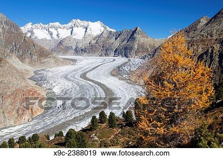 Aletsch Glacier, Switzerland. View Large Photo Image Stock Photo - Aletsch Glacier, Switzerland.. Fotosearch