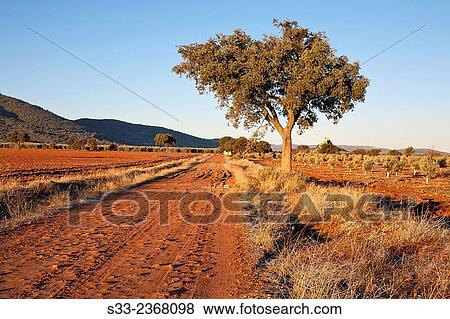 Carril del Castillo road in Navahermosa. Toledo. Castilla la Mancha. Spain. Europe. View Large Photo Image Stock Photo - Carril del Castillo road in Navahermosa. Toledo. Castilla la Mancha. Spain. Europe.. Fotosearch