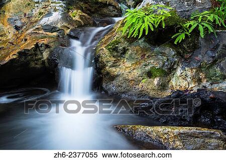 Cascade on Limekiln Creek, Limekiln State Park, Big Sur, California USA. View Large Photo Image Stock Photography - Cascade on Limekiln Creek, Limekiln State Park, Big Sur, California USA.. Fotosearch