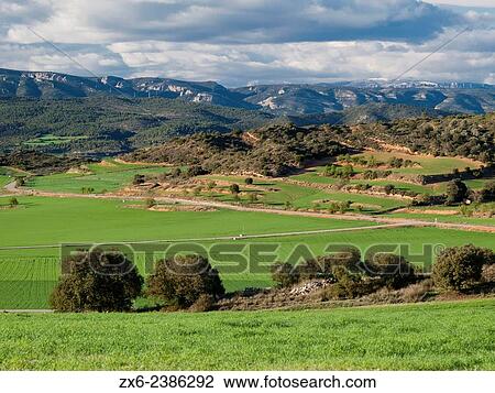 Cereal fields. Montclar d? Urgell small village countryside near Agramunt village. La Noguera region, Lleida province, Catalonia, Spain. View Large Photo Image Stock Image - Cereal fields. Montclar d? Urgell small village countryside near Agramunt village. La Noguera region, Lleida province, Catalonia, Spain.. Fotosearch