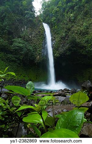 Costa Rica. La Fortuna, National park Volcan Arenal, waterfall Catarata Fortuna View Large Photo Image Stock Photo - Costa Rica. La Fortuna, National park Volcan Arenal, waterfall Catarata Fortuna. Fotosearch