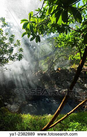 Costa Rica. National park of Rincon de la Vieja, fumes of hot spring View Large Photo Image Stock Photo - Costa Rica. National park of Rincon de la Vieja, fumes of hot spring. Fotosearch