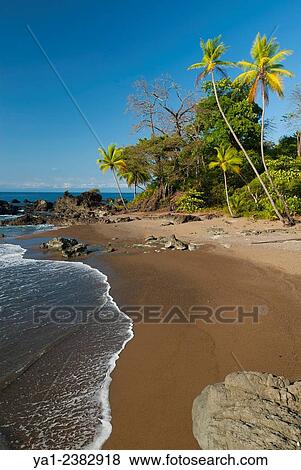 Costa Rica. Pacific coast, Punta Rio Claro National Wildlife Refuge, limit north of Corcovado national park, wild beach View Large Photo Image Stock Photo - Costa Rica. Pacific coast, Punta Rio Claro National Wildlife Refuge, limit north of Corcovado national park, wild beach. Fotosearch