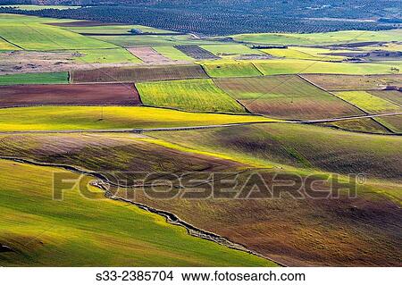 Country in Noez. Toledo. Castilla la Mancha. Spain. Europe. View Large Photo Image Picture - Country in Noez. Toledo. Castilla la Mancha. Spain. Europe.. Fotosearch