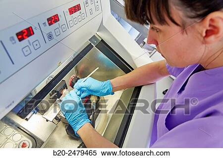 Cryostat for Standard Applications in the Clinical Histopathology Laboratory, Anatomic Pathology, Hospital Donostia, San Sebastian, Gipuzkoa, Basque Country, Spain View Large Photo Image Stock Photography - Cryostat for Standard Applications in the Clinical Histopathology Laboratory, Anatomic Pathology, Hospital Donostia, San Sebastian, Gipuzkoa, Basque Country, Spain. Fotosearch
