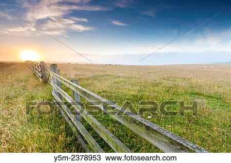 Stock Image - Dartmoor National Park, Holwell, Devon, England, United Kingdom, Europe.. Fotosearch
