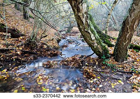 Stock Image - Dehesa stream in the Sierra Cebollera. Somosierra. Madrid. Spain. Europe.. Fotosearch