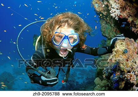 Stock Photo - diver and Bluestreak wrasse or cleanerfish Aspidontus taeniatus Red sea, Egypt, Africa. Fotosearch