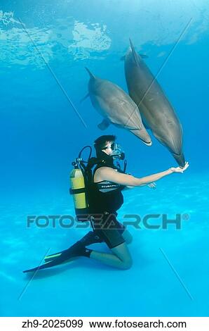Stock Photo - Diver and Bottlenose dolphin (Tursiops truncatus), Dolphinarium, Odessa, Odessa Oblast, Ukraine, Europe.. Fotosearch