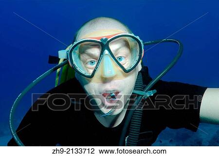 diver and cleanerfish, Sabre-toothed blenny (Aspidontus taeniatus), Red Sea, Egypt, Africa. View Large Photo Image Stock Image - diver and cleanerfish, Sabre-toothed blenny (Aspidontus taeniatus), Red Sea, Egypt, Africa.. Fotosearch