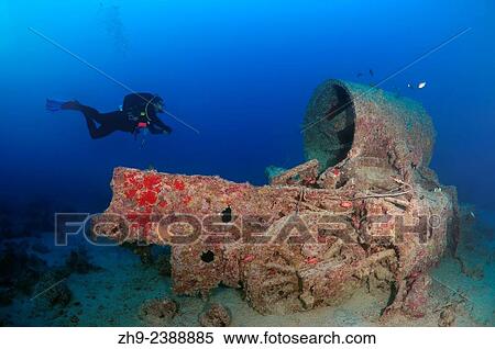 Diver looking at a steam locomotive, shipwreck SS Thistlegorm (British armed Merchant Navy ship), Red Sea, Egypt. View Large Photo Image Stock Photography - Diver looking at a steam locomotive, shipwreck SS Thistlegorm (British armed Merchant Navy ship), Red Sea, Egypt.. Fotosearch