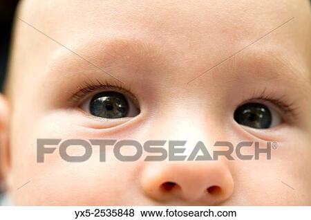 Eyes of a 6-months old baby. View Large Photo Image Stock Photo - Eyes of a 6-months old baby.. Fotosearch