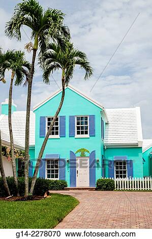 Florida, Naples, house, home, palm trees. View Large Photo Image Stock Image - Florida, Naples, house, home, palm trees.. Fotosearch
