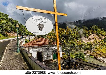 Furnas Valley, a site of bubbling hot springs and fumaroles on the Azorean Capital island of Sao Miguel, Azores, Portugal. View Large Photo Image Stock Photo - Furnas Valley, a site of bubbling hot springs and fumaroles on the Azorean Capital island of Sao Miguel, Azores, Portugal.. Fotosearch