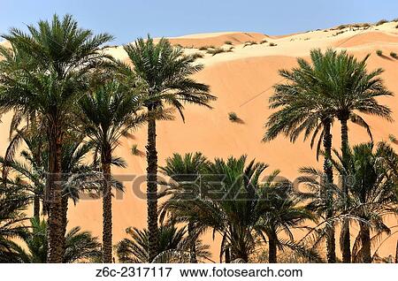 Green gardens with palms border directly to the desert, Al-Hawiyah, Oman. View Large Photo Image Stock Photo - Green gardens with palms border directly to the desert, Al-Hawiyah, Oman.. Fotosearch