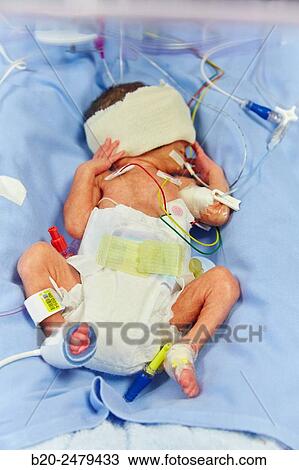 Stock Image - Incubator, Medical care, Neonate Intensive care Unit, ICU, Hospital Donostia, San Sebastian, Gipuzkoa, Basque Country, Spain. Fotosearch