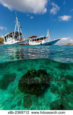 Local tourist boats anchored over underwater reef system on pink sand beach, Komodo National Park, Komodo Island, Indonesia. View Large Photo Image Stock Image - Local tourist boats anchored over underwater reef system on pink sand beach, Komodo National Park, Komodo Island, Indonesia.. Fotosearch