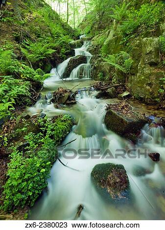 Marianegre stream waterfalls. Springtime at Montseny Natural Park. Barcelona province, Catalonia, Spain. View Large Photo Image Stock Image - Marianegre stream waterfalls. Springtime at Montseny Natural Park. Barcelona province, Catalonia, Spain.. Fotosearch