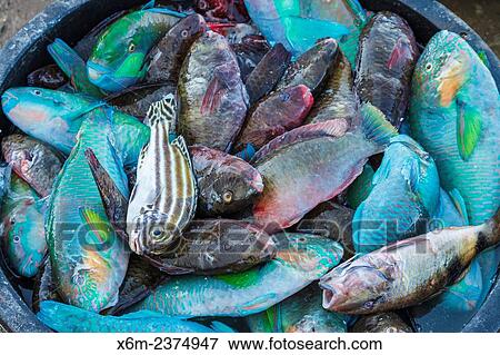 Market. Labuan Bajo. Flores island. Indonesia, Asia. View Large Photo Image Stock Photo - Market. Labuan Bajo. Flores island. Indonesia, Asia.. Fotosearch