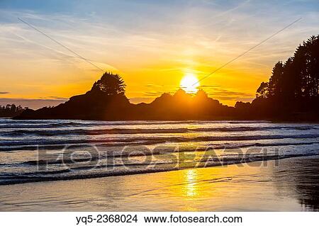 Picture - North America, Canada, British Columbia, Vancouver Island, Tofino, Cox Bay.. Fotosearch