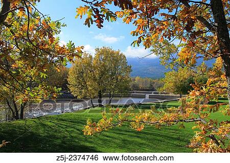 Stock Photograph - Oak trees show Autumn colours at Las Presillas river pools on Lozoya river, near El Paular at Madrilenian side of Sierra de Guadarrama mountain range.. Fotosearch